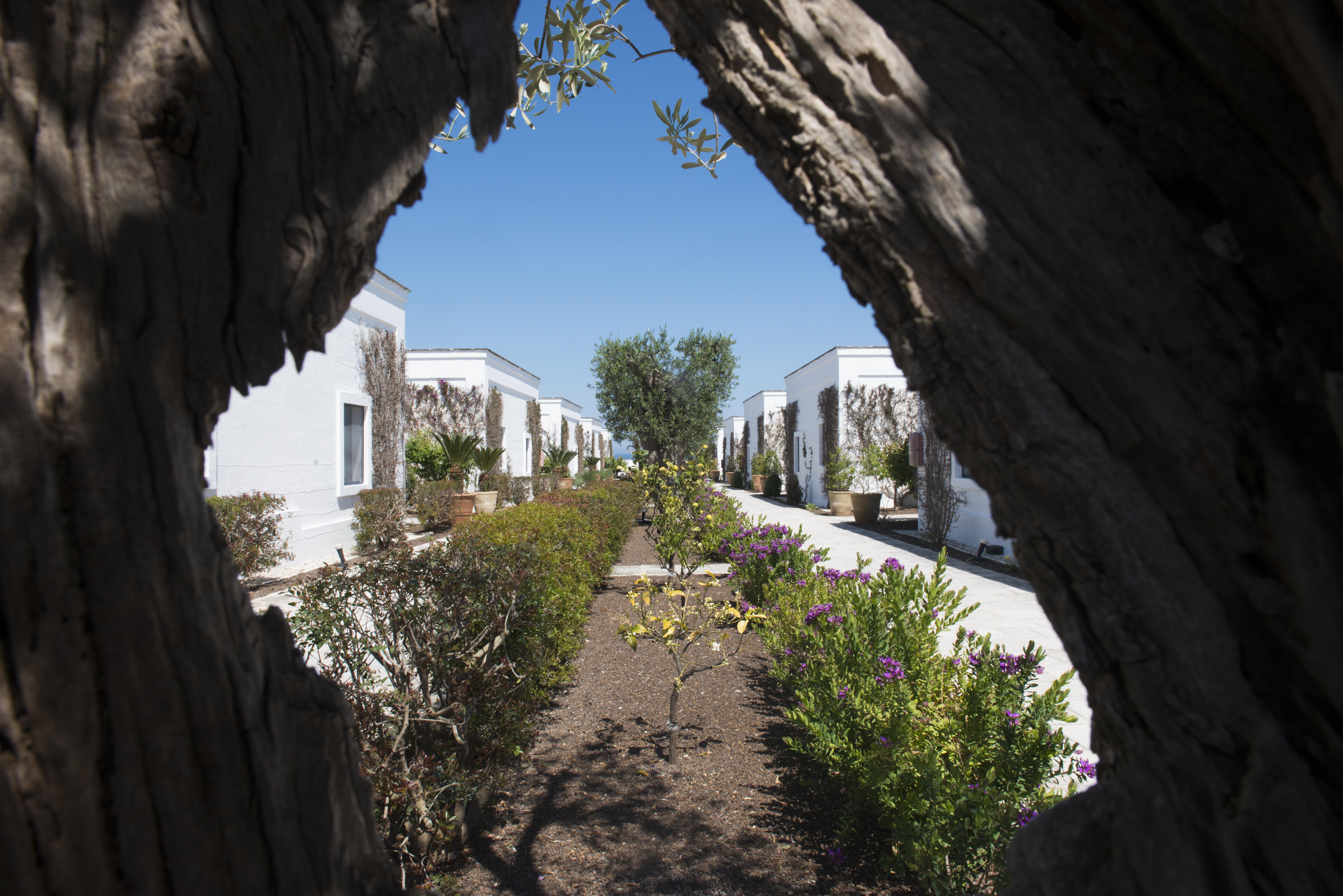 Savelletri Rocco Forte Masseria Torre Maizza מראה חיצוני תמונה