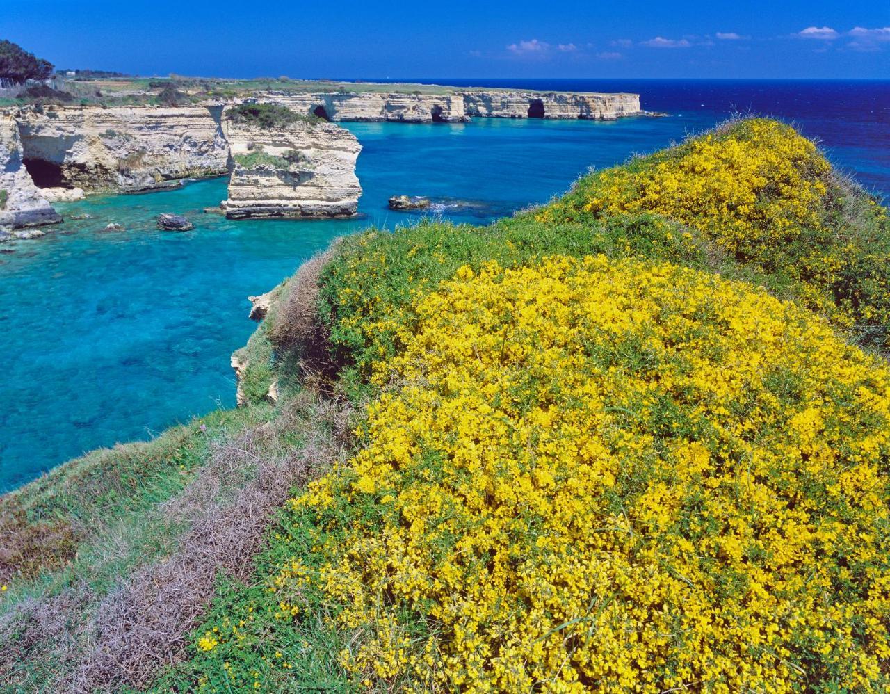Savelletri Rocco Forte Masseria Torre Maizza מראה חיצוני תמונה